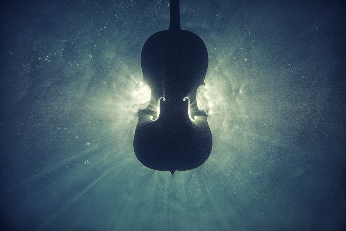 A silhouette of a violin from under water