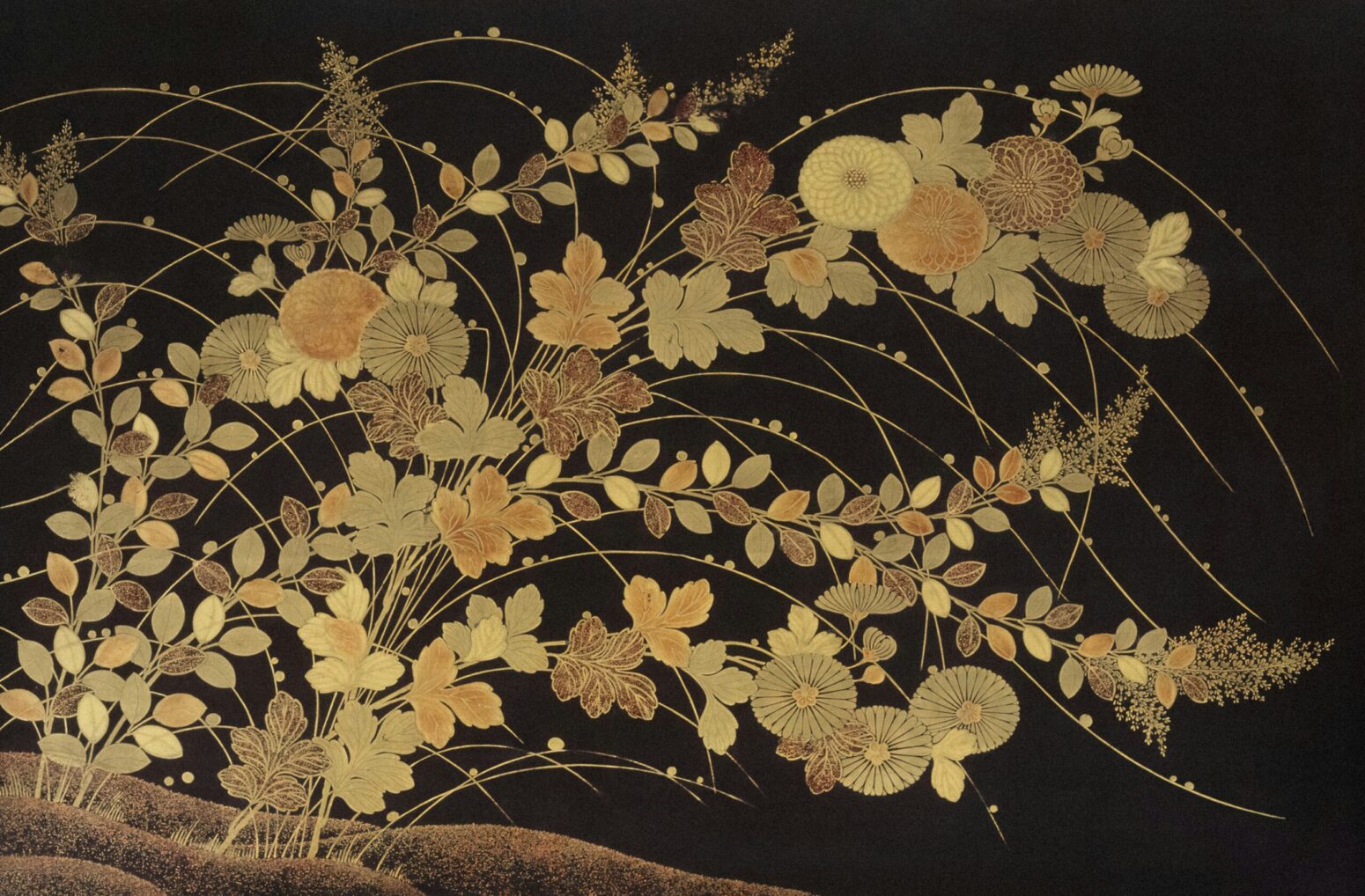 Gold flowers and grasses on a black background.