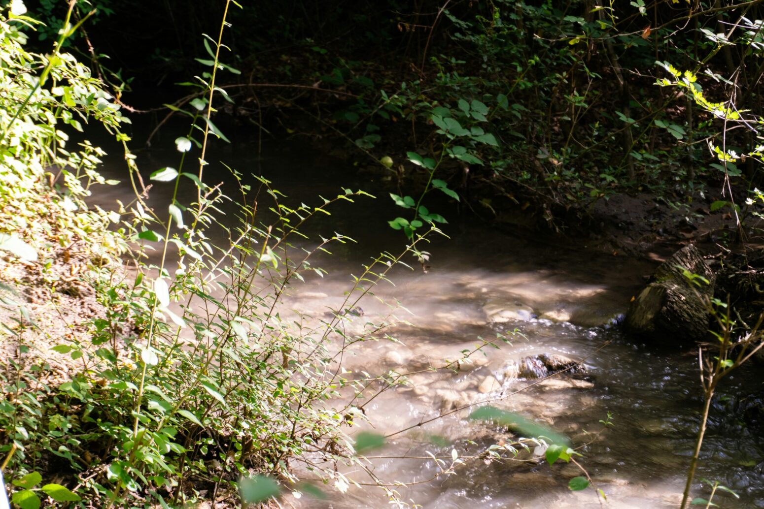 A small, dirty river