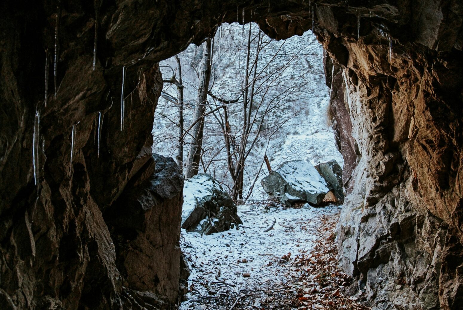 A view of a snowy forest from inside a cave. Icicles hang from the rocky ceiling near the circular entrance.