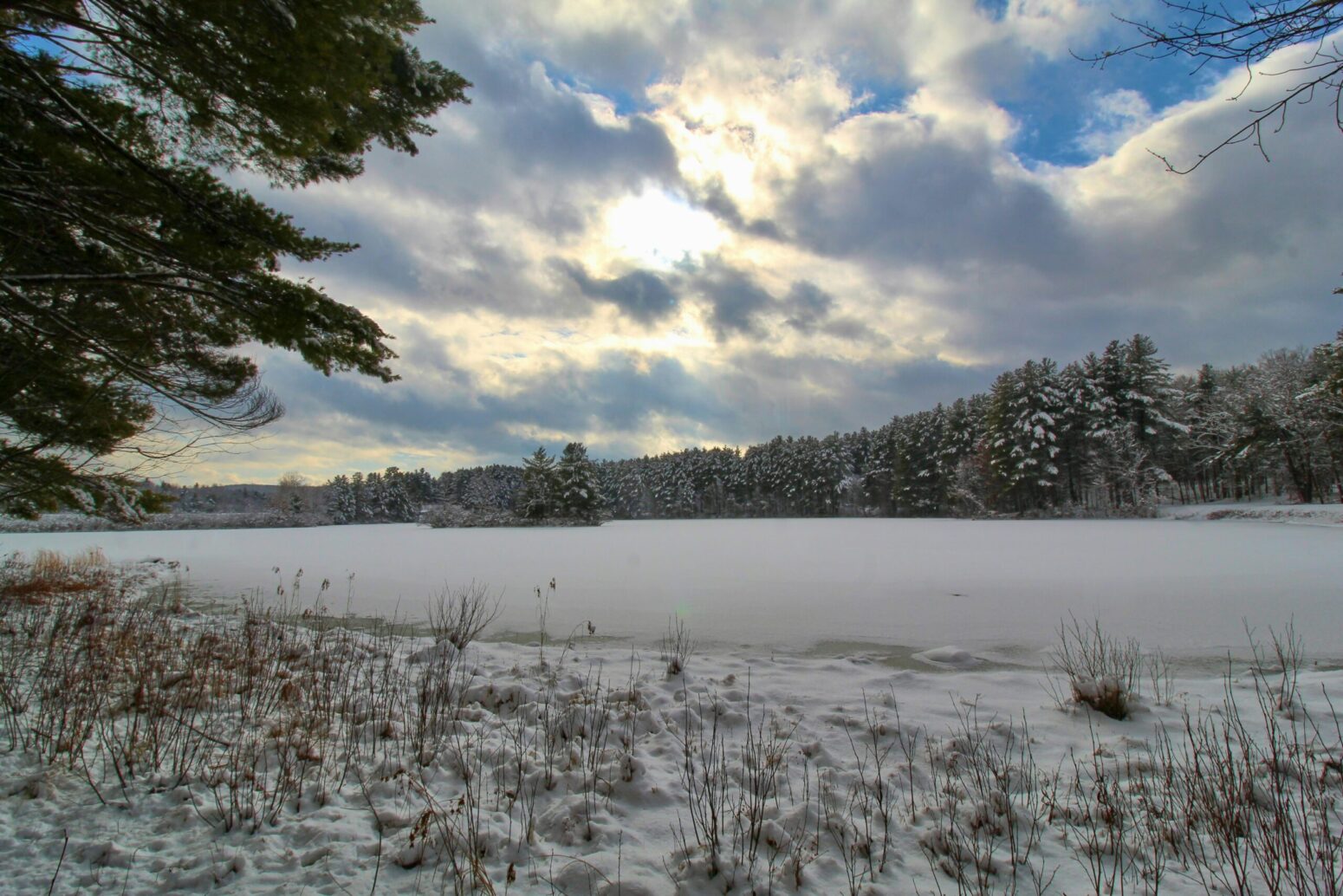 A frozen lake surrounded by a snowy forest.