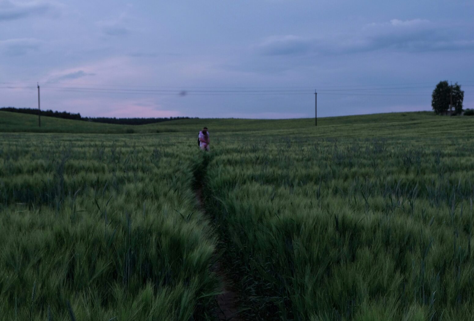 A field at dusk. A small path winds through the grass, and at the end are two people hugging. The horizon is lined with powerlines and a few trees.