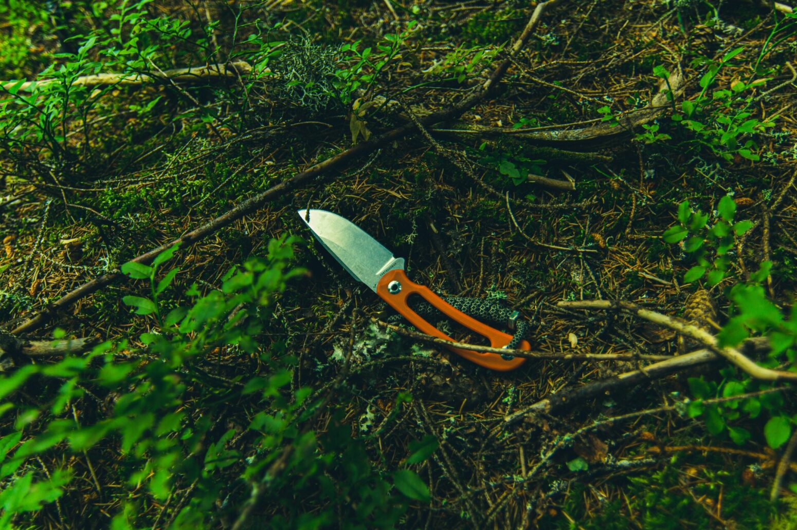 A switchblade with an orange handle, lies in the underbrush of a forest.