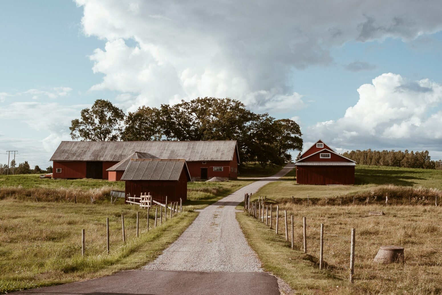 A long, gravel driveway leading past some red, farm buildings on either side. Fields stretch for miles and trees stand in the background against a blue, cloudy sky.