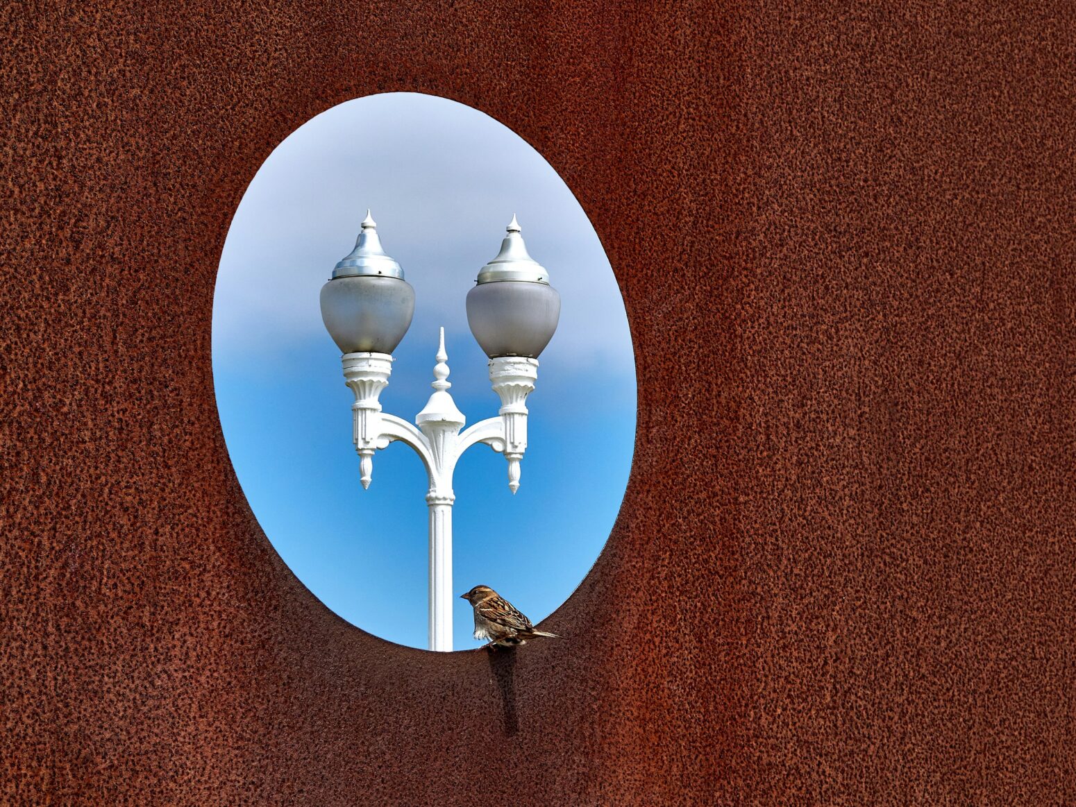 A bird perched on a circular opening of a sculpture, looking out at a white streetlamp and the blue sky.