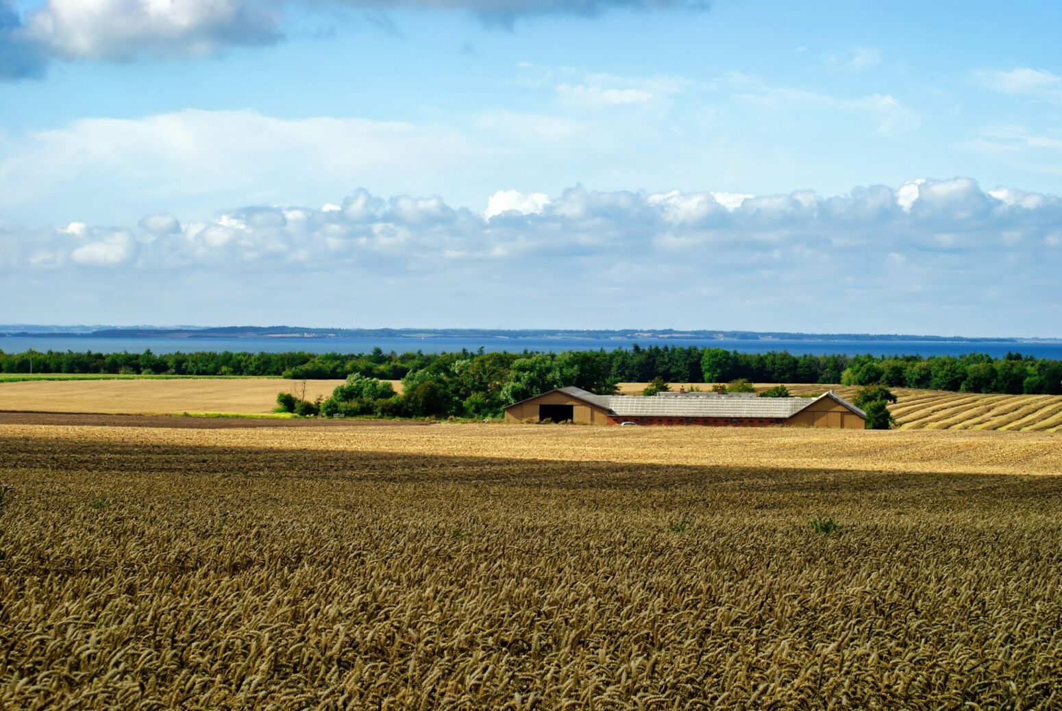 A farmhouse surrounded by large fields of grain