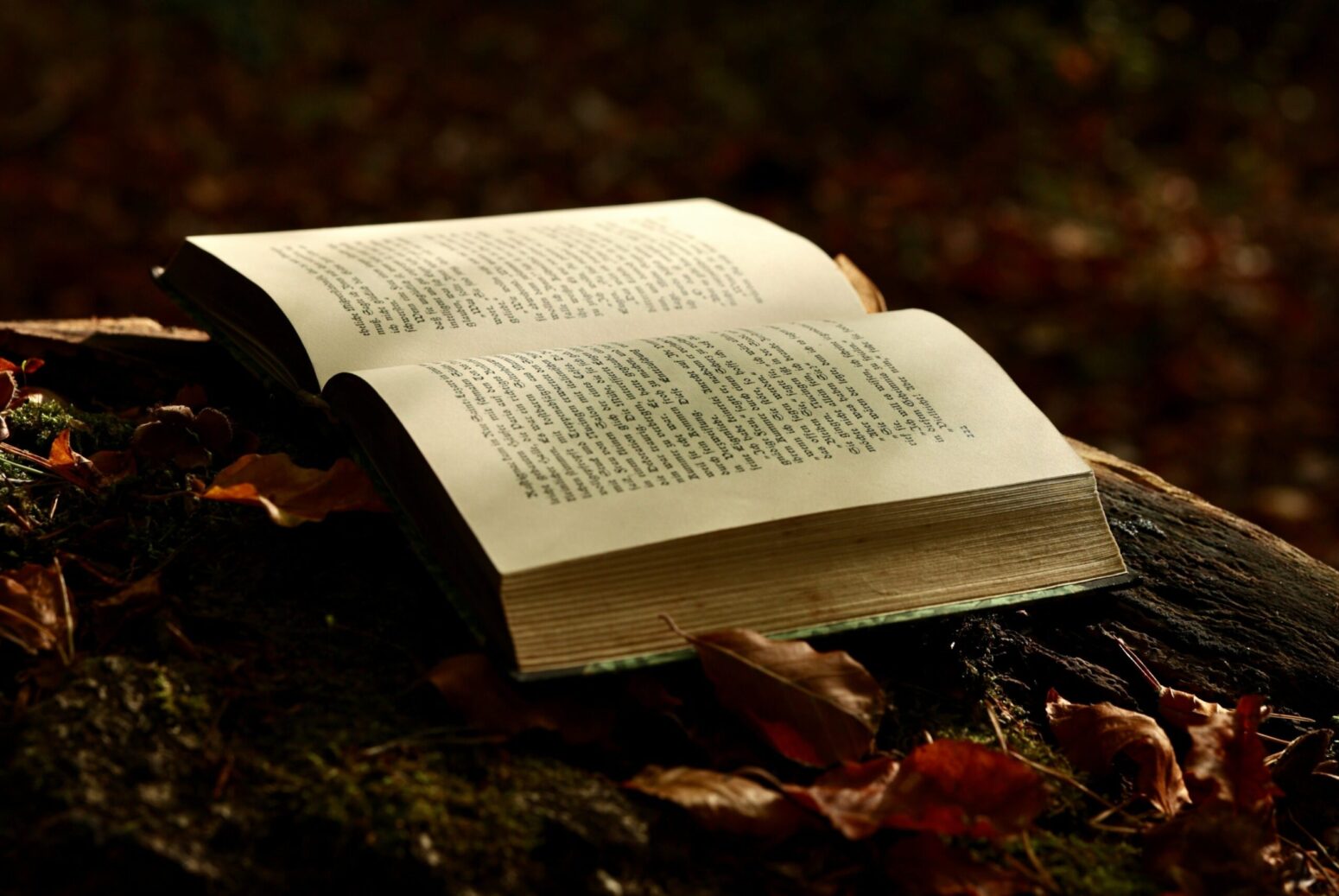 A thick book lays open on a log, surrounded by dead leaves. The background is dark, but faintly wooded.