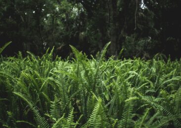 Where is Home & Who Can I Count On? An Interview with Maya Jewell Zeller