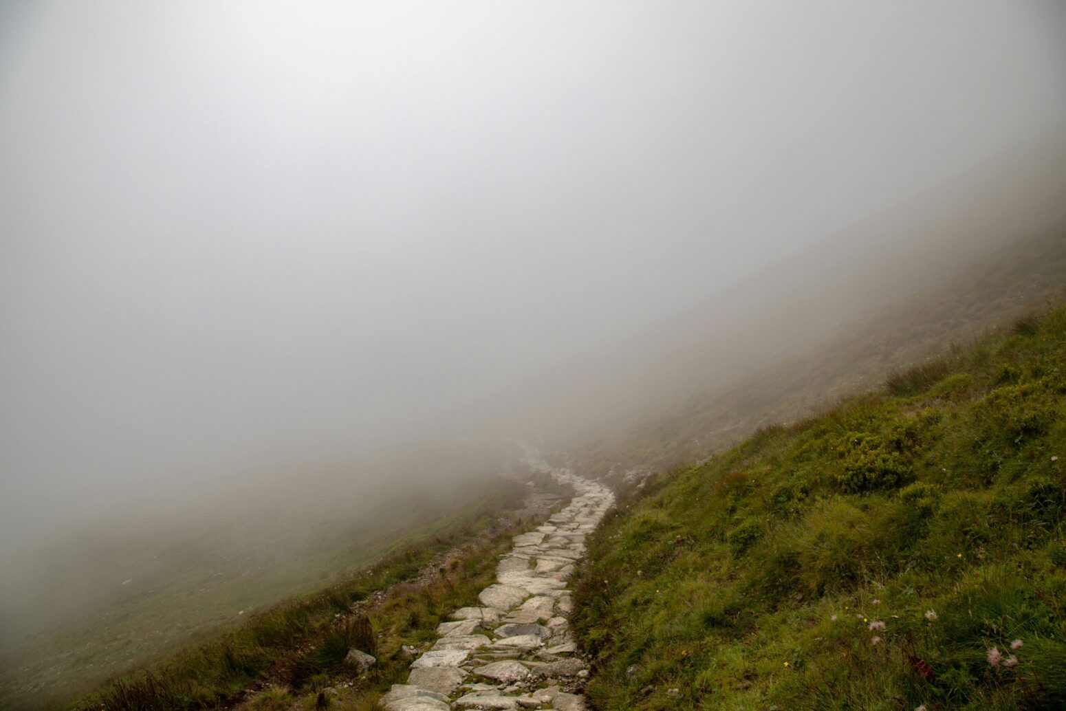 A narrow, stone path, leading into fog.