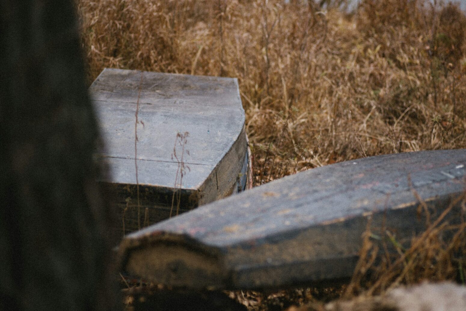 Two black coffins laying in dead grass.