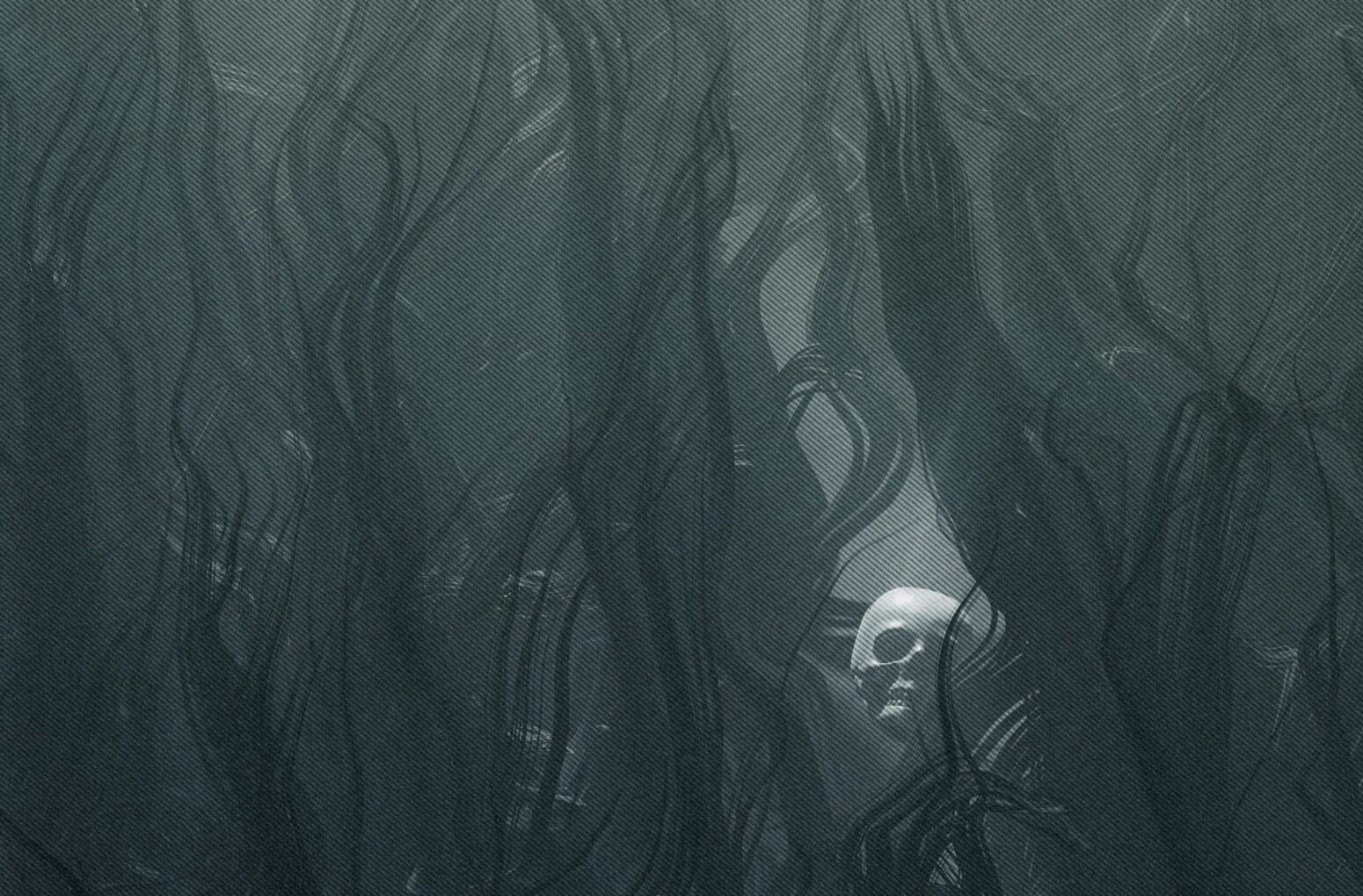 A black-and-white photo of a skull amongst a field of kelp under the water.
