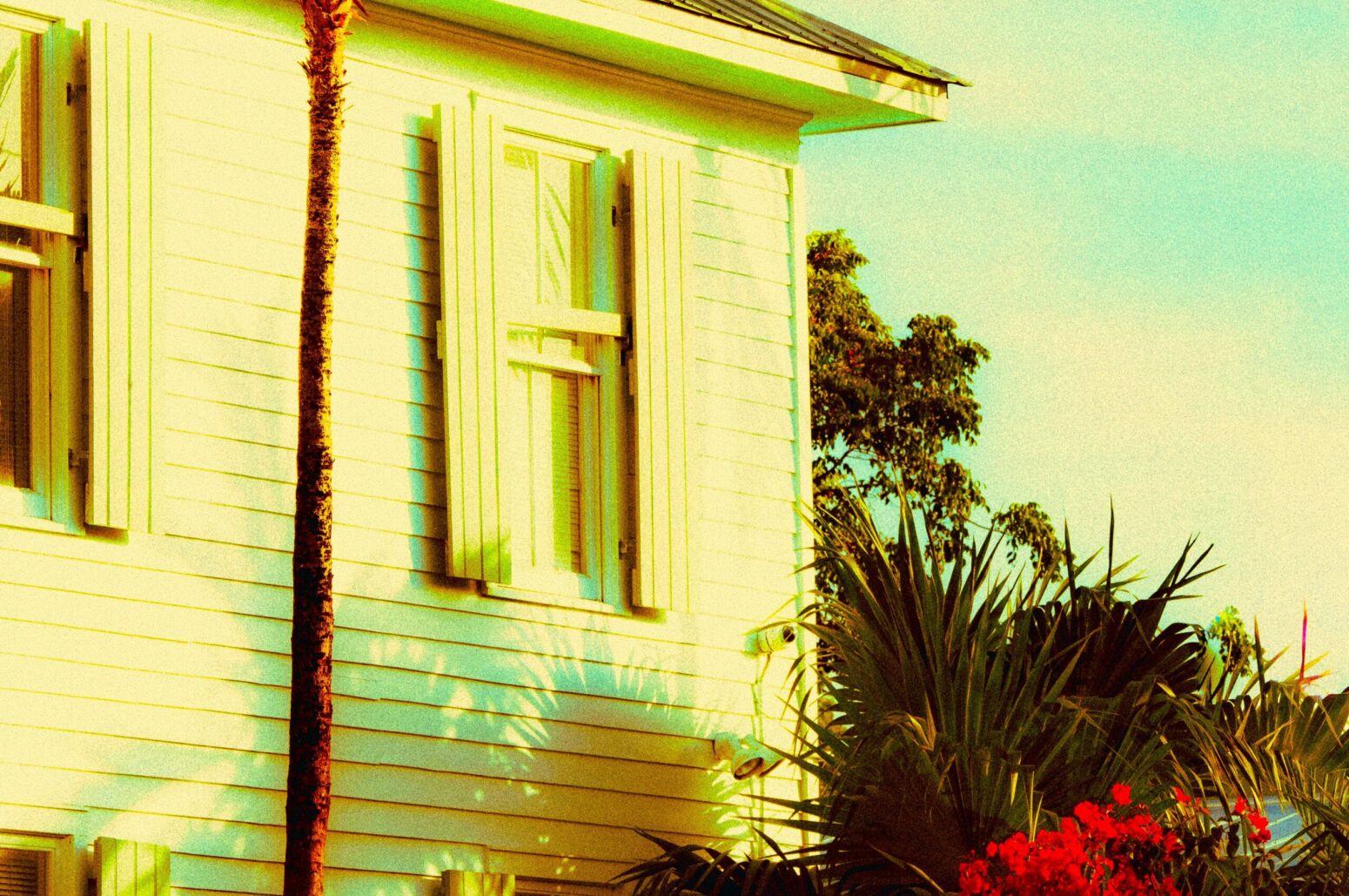 A highly saturated photo of the side of a house with tropical plants growing around it.