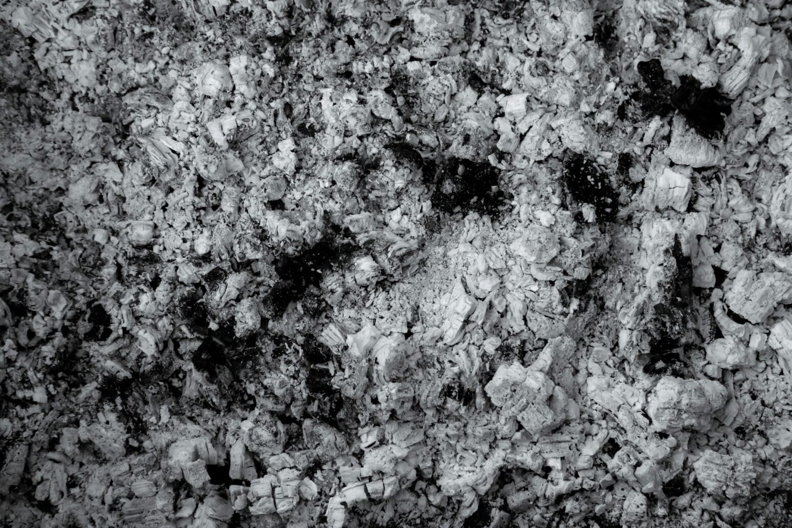 A pile of gray ash.