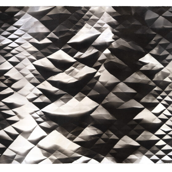 A folded palladium photograph with a repeated pattern of triangles in varying sizes, resembling a lizard's scales.