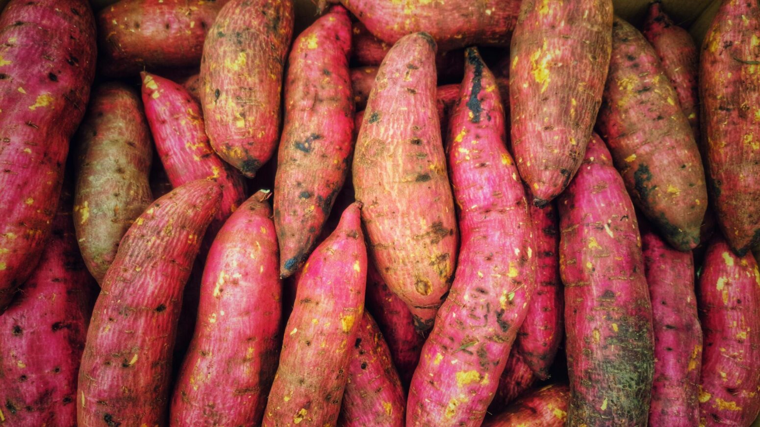 Lots of pink yams with some dirt on them packed together.