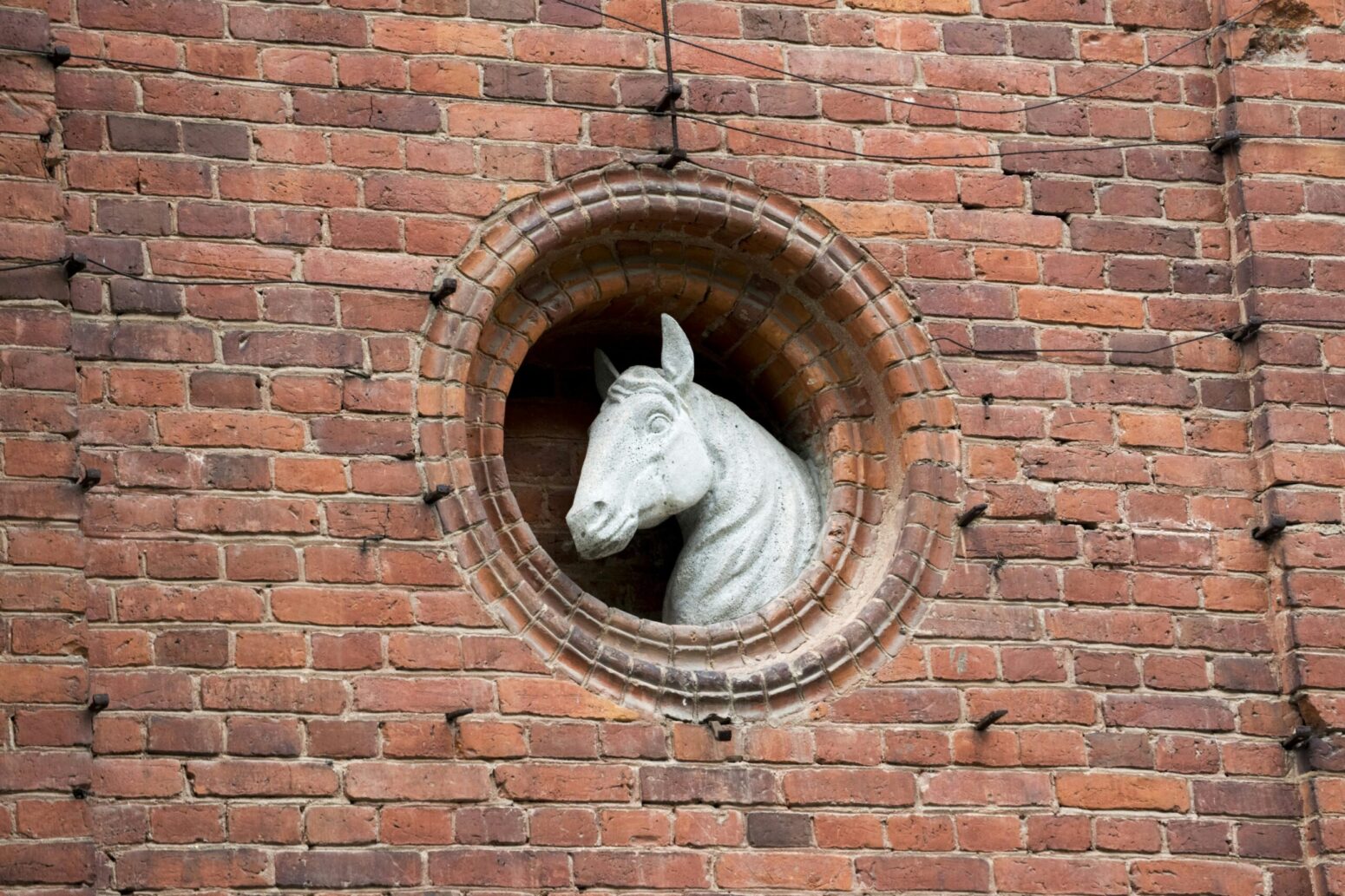 A white statue of a horse's head in a round window in a brick wall.