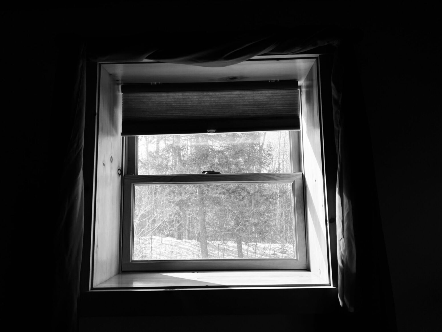 This photograph shows a window with a tree visible, covered in snow. The photograph was taken in winter.