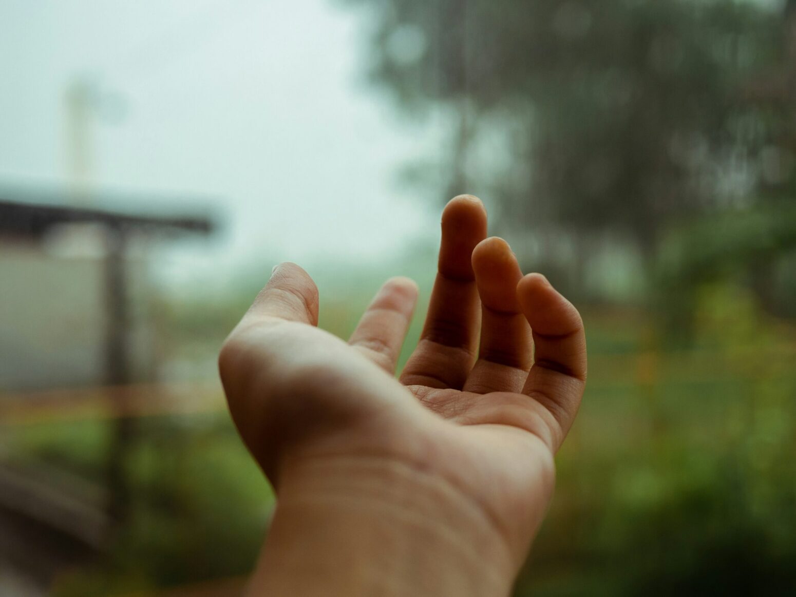 This photograph shows a person holding out their hand in front of a window. The background is presumably of their backyard.
