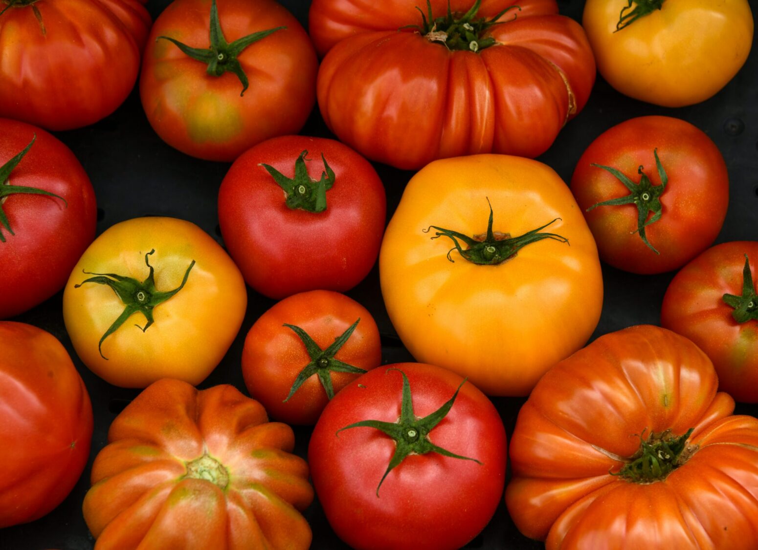 An assortment of types of tomatoes in different sizes and colors.