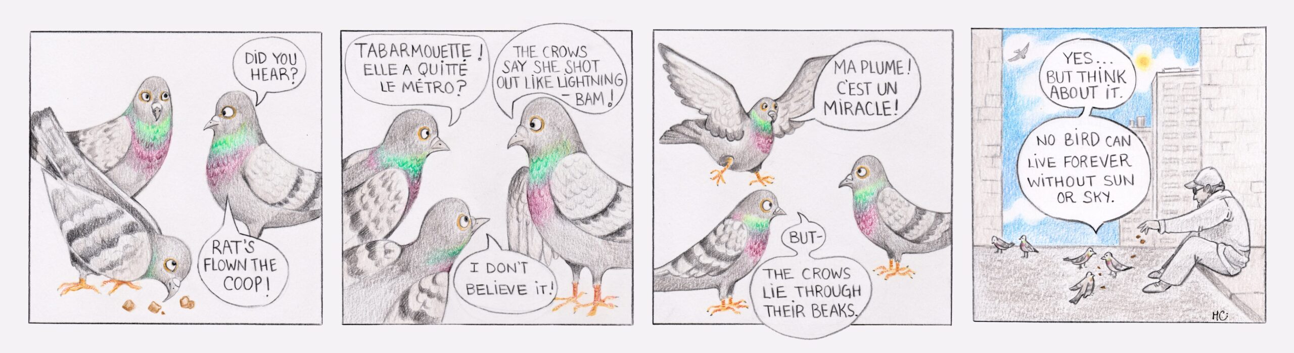 Hand-drawn comic strip by Megan Callahan.
