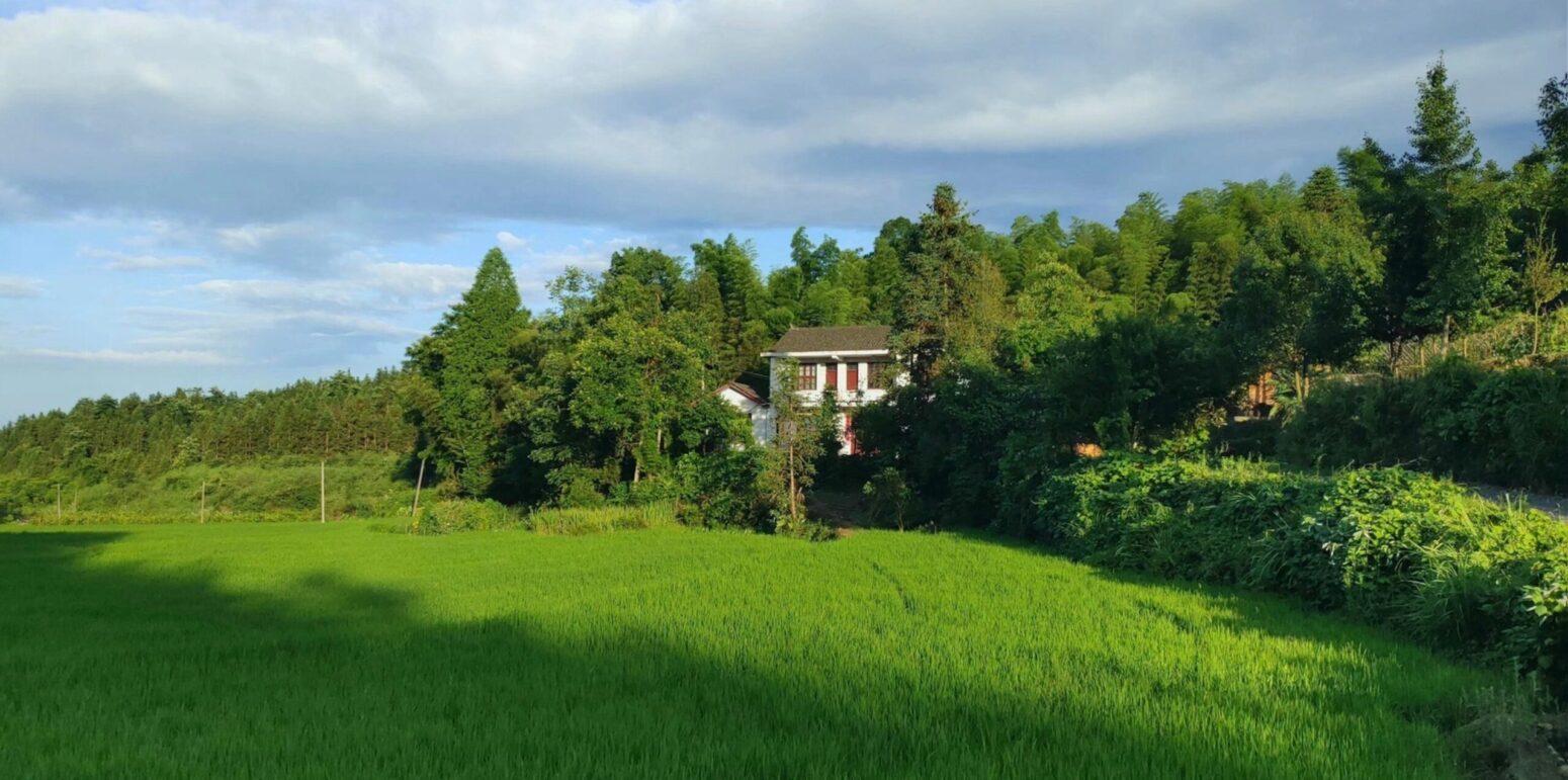 This photograph shows a green country terrain with a house, seemingly in the middle of forest and green plains.