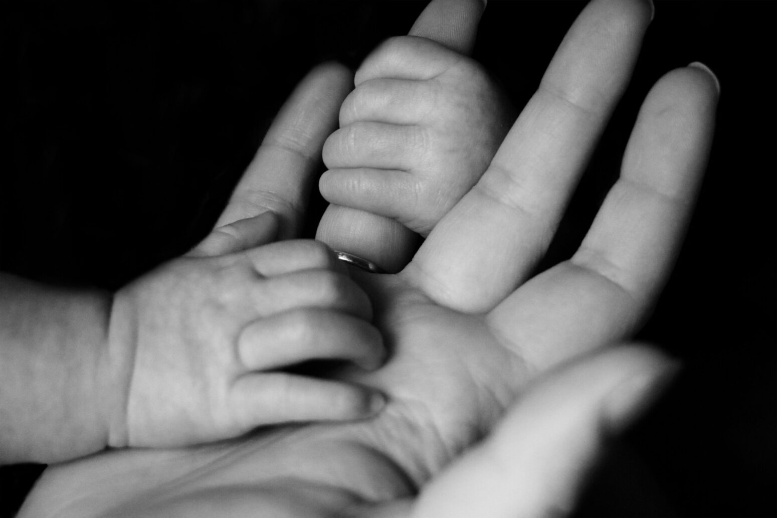 This photograph show's two baby hands gripping the finger's of an adult hand.