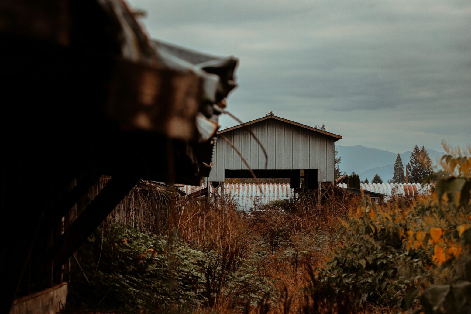 This photograph shows a close up of an old ranch that has had significant damage done to it.