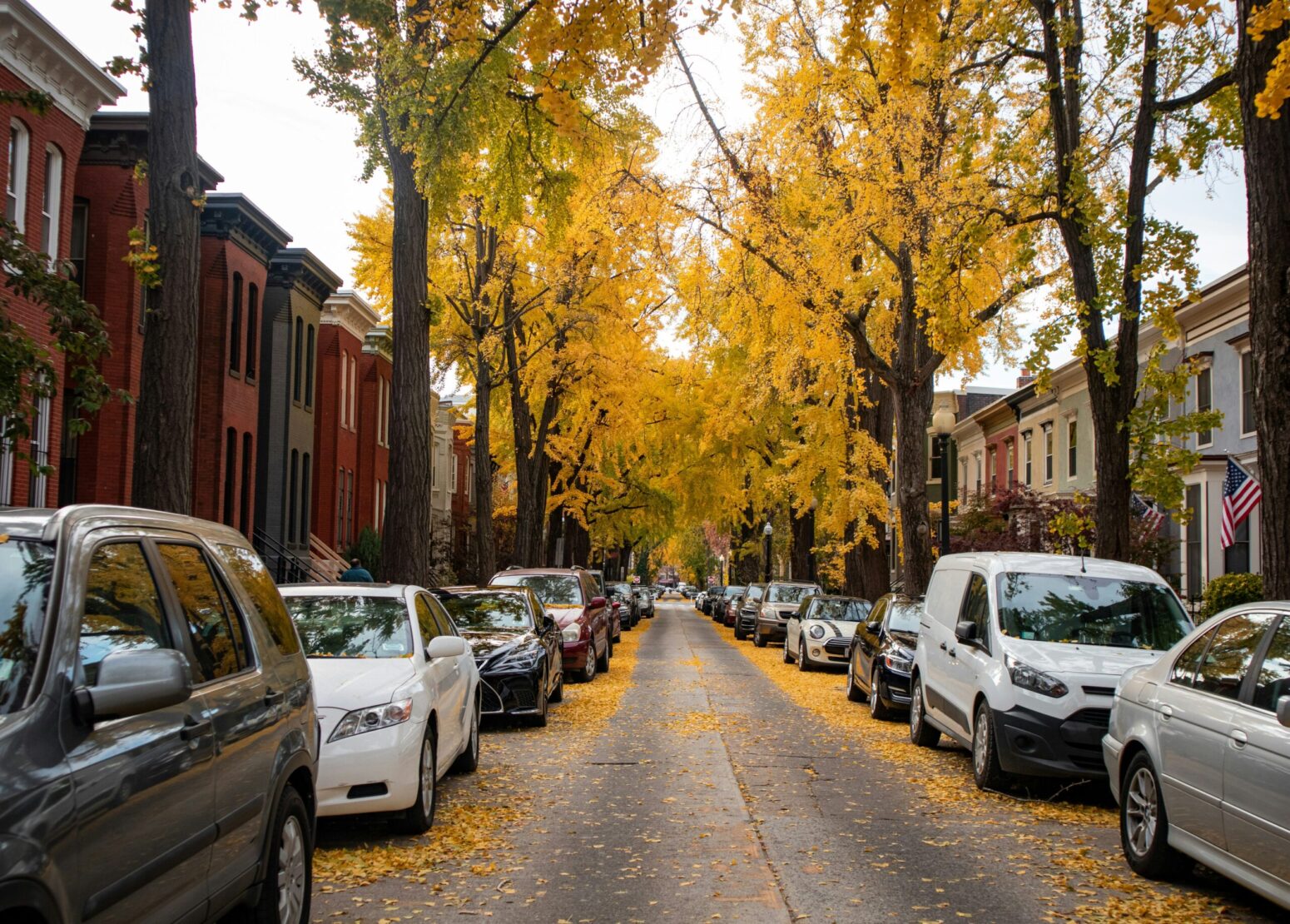 Rows of Cars parked in a residential area