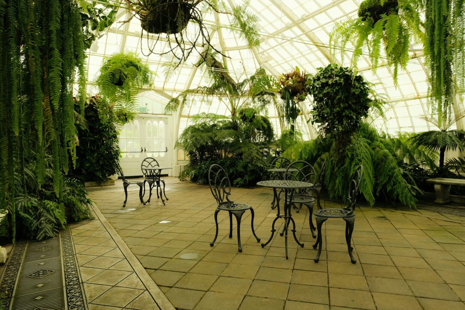 Table and chairs in a green house