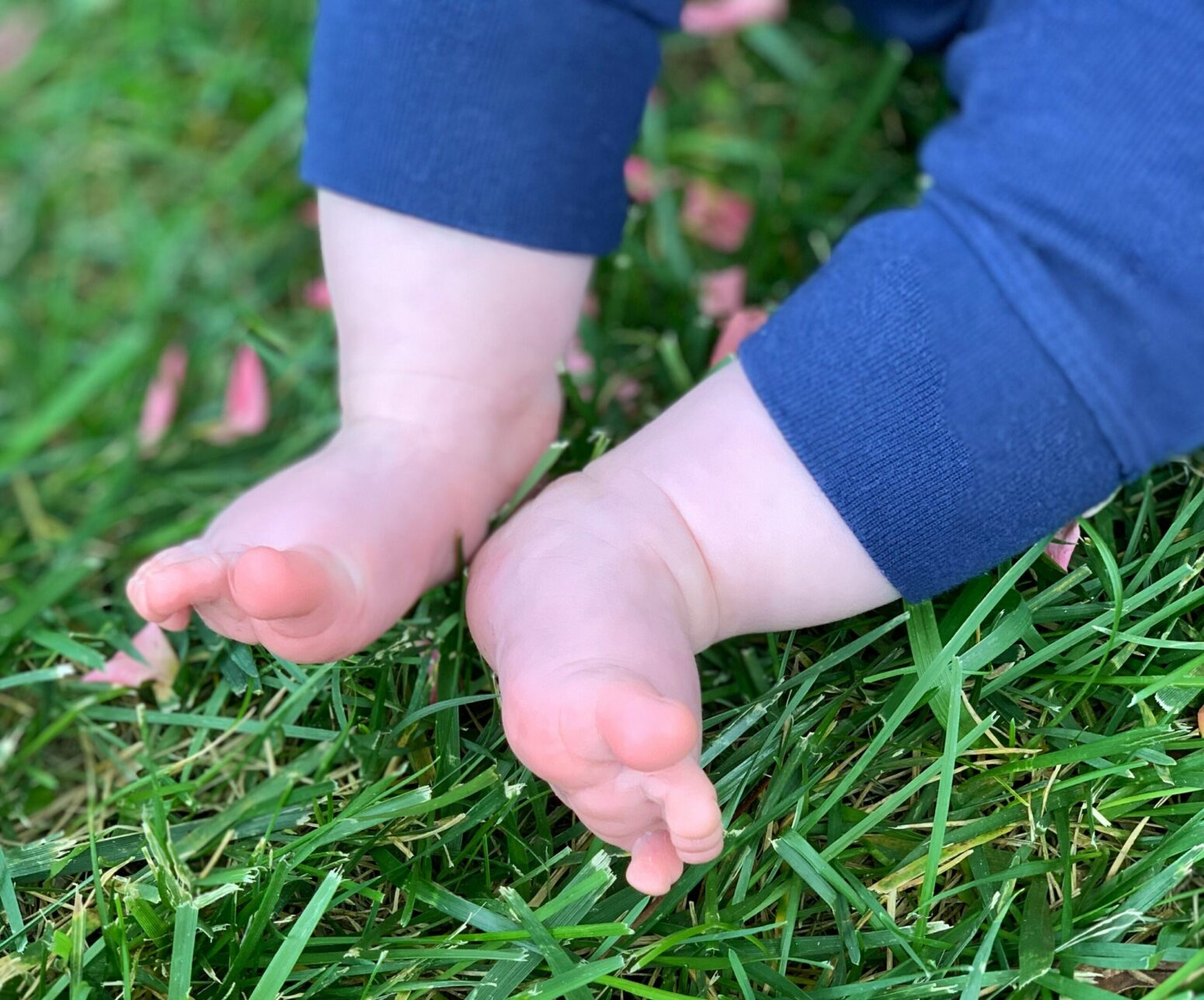 Baby feet on grass