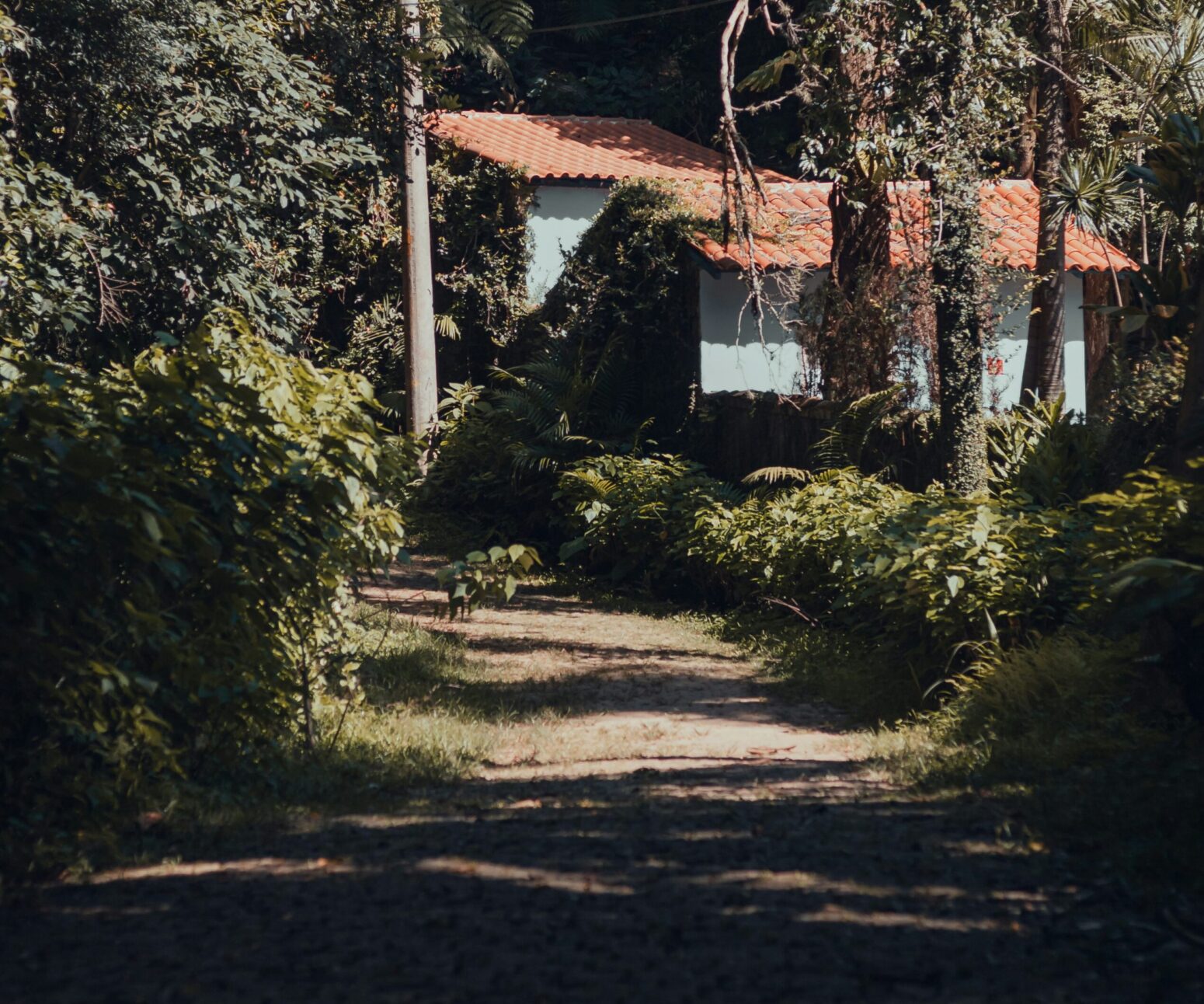 A trail passing by a cottage surrounded by trees and shrubs